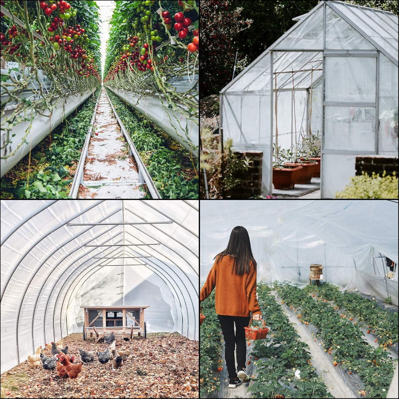 16 x 28 ft Clear Polyethylene Greenhouse Film-application