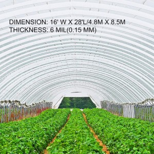 16 x 28 ft Clear Polyethylene Greenhouse Film 16 x 28 ft Clear Polyethylene Greenhouse Film-sizes