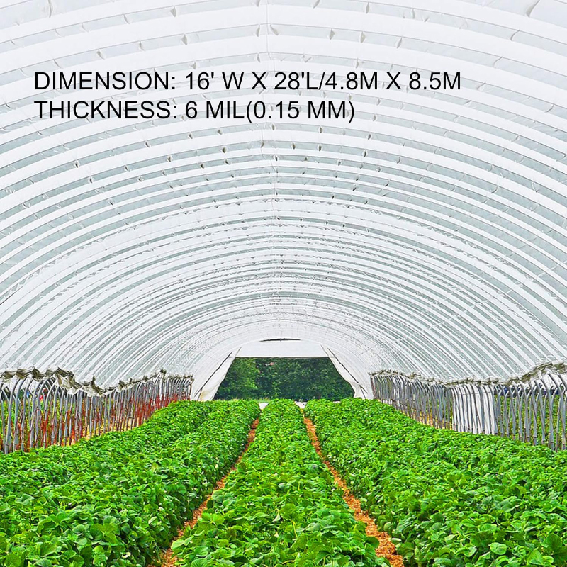 16 x 28 ft Clear Polyethylene Greenhouse Film-sizes