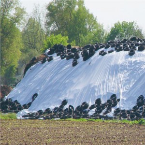 8 Mil Heavy Duty Polyethylene Plastic Silage Cover Supplier 8 Mil Heavy Duty Polyethylene Plastic Silage Cover Supplier-application