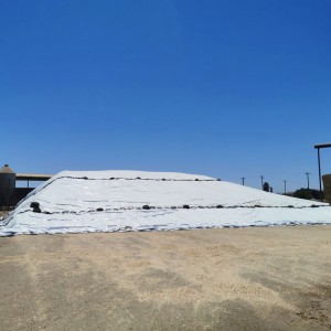 8 Mil Heavy Duty Polyethylene Plastic Silage Cover Supplier 8 Mil Heavy Duty Polyethylene Plastic Silage Cover Supplier-application2