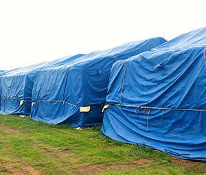 FAO Standard Gas Proof Fumigation Sheet Cover Tarp Agricultural PVC Tarpaulins