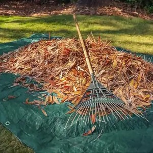 Olive Green ដង់ស៊ីតេខ្ពស់ PE Tarpaulin ក្រុមហ៊ុនផលិត -application