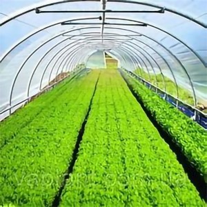 PVC clear tarp-application 2
