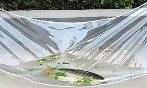 30 Mil Clear Vinyl PVC waterproof Clear pvc tarpaulin